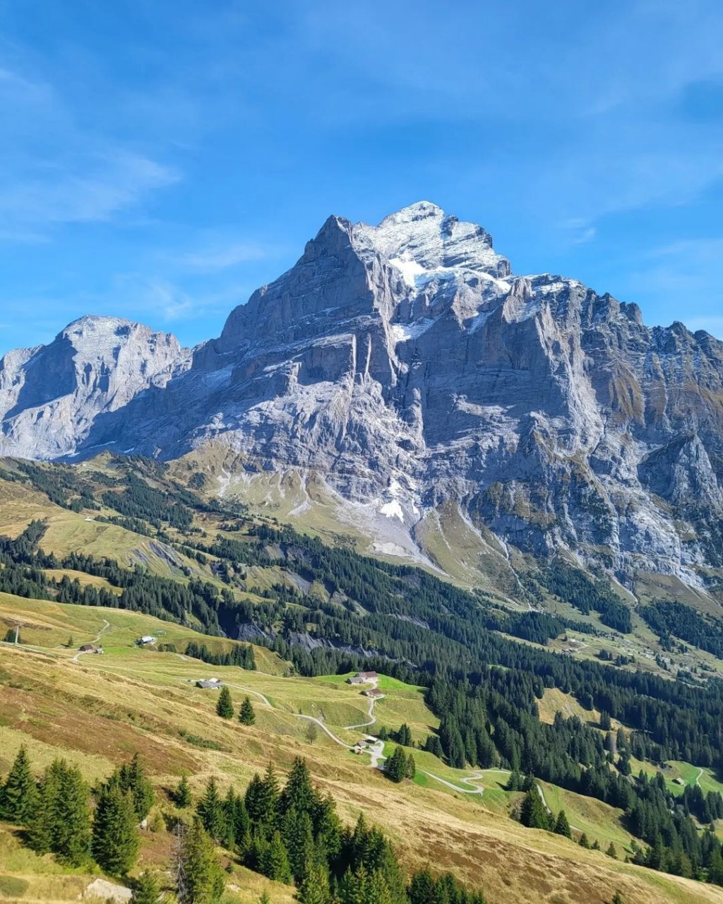 ก้อย ตูน