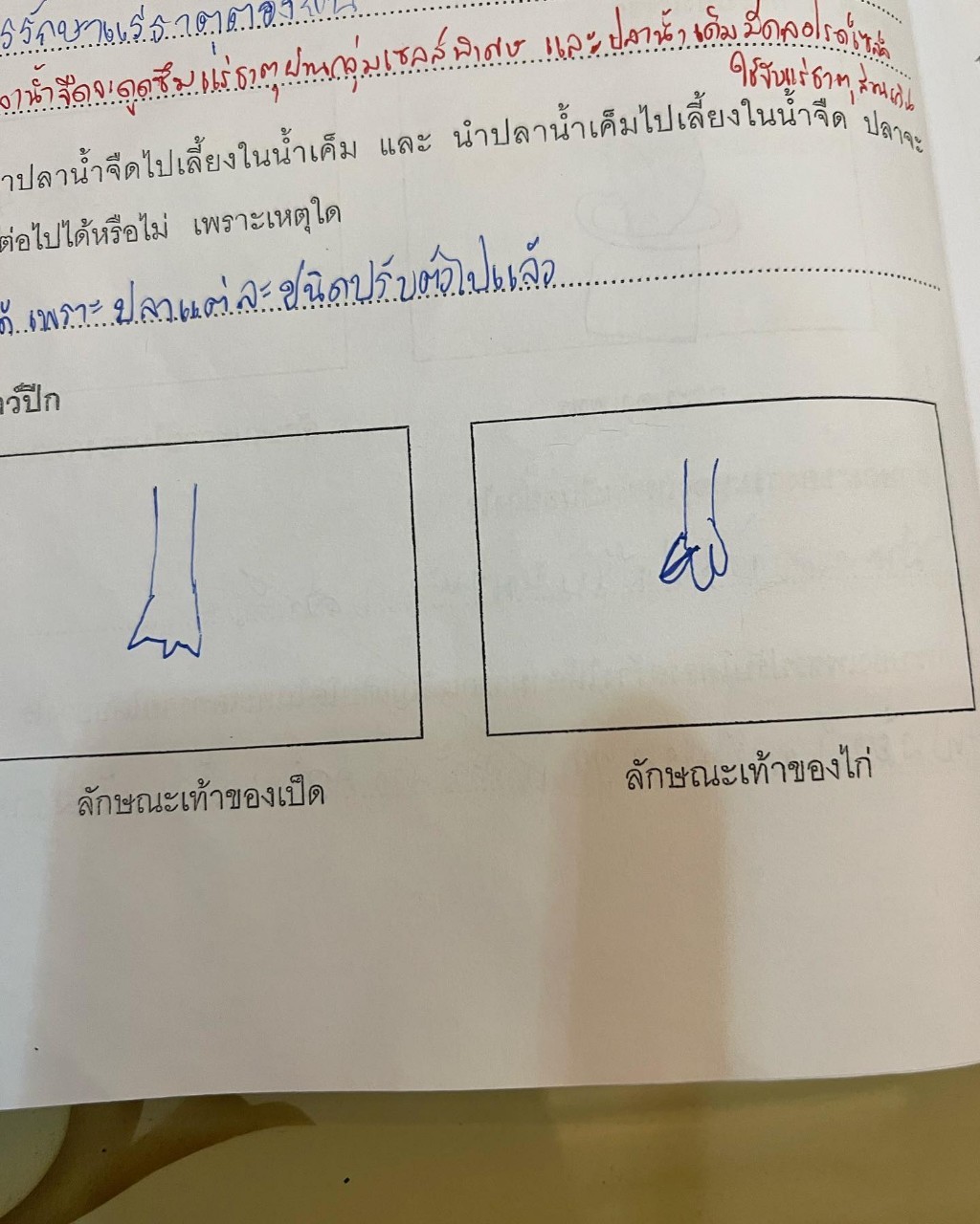 บอย ปกรณ์