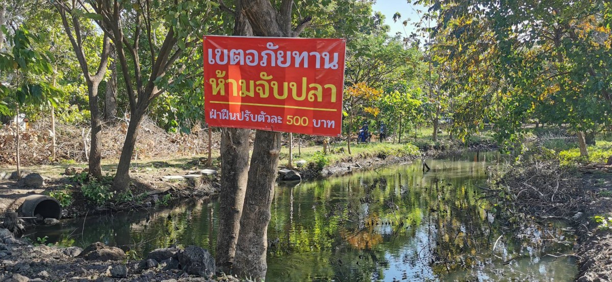 บุรีรัมย์ ผญบ.และชาวบ้านล้อมจับ 2 หนุ่มขโมยตกปลาในวัดไม่สนป้ายเขตอภัยทานอ้างอยากกินเนื้อย่างเกาหลีแต่ไม่มีเงินซื้อ