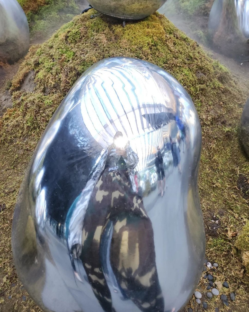 ชมพู่ อารยา