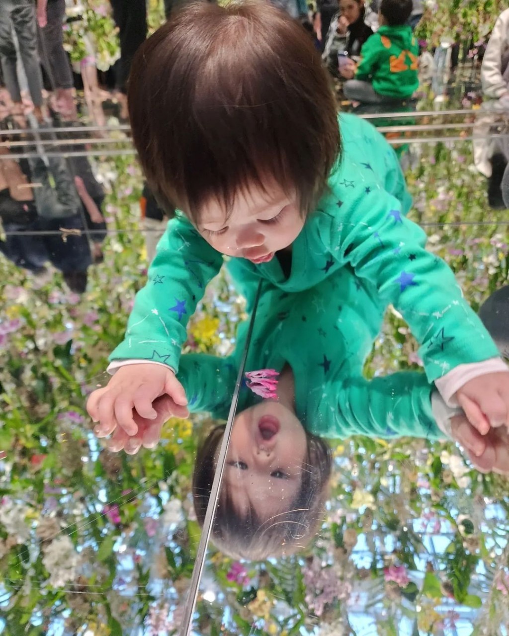 ชมพู่ อารยา