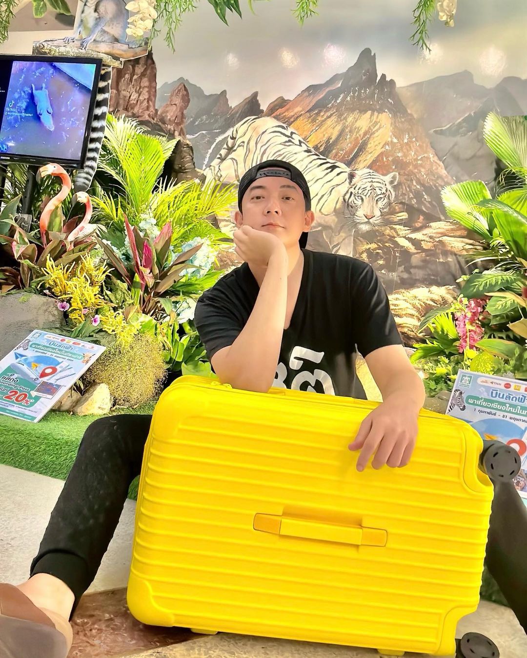 เบลล์ ฟ้าว์เฟี้ยว