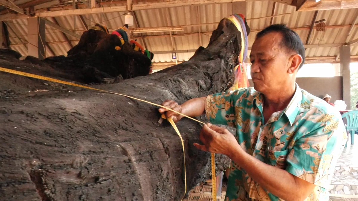 พบต้นตะเคียนจมน้ำ700ปีให้โชคกับชาวบ้านทั้งอำเภอ