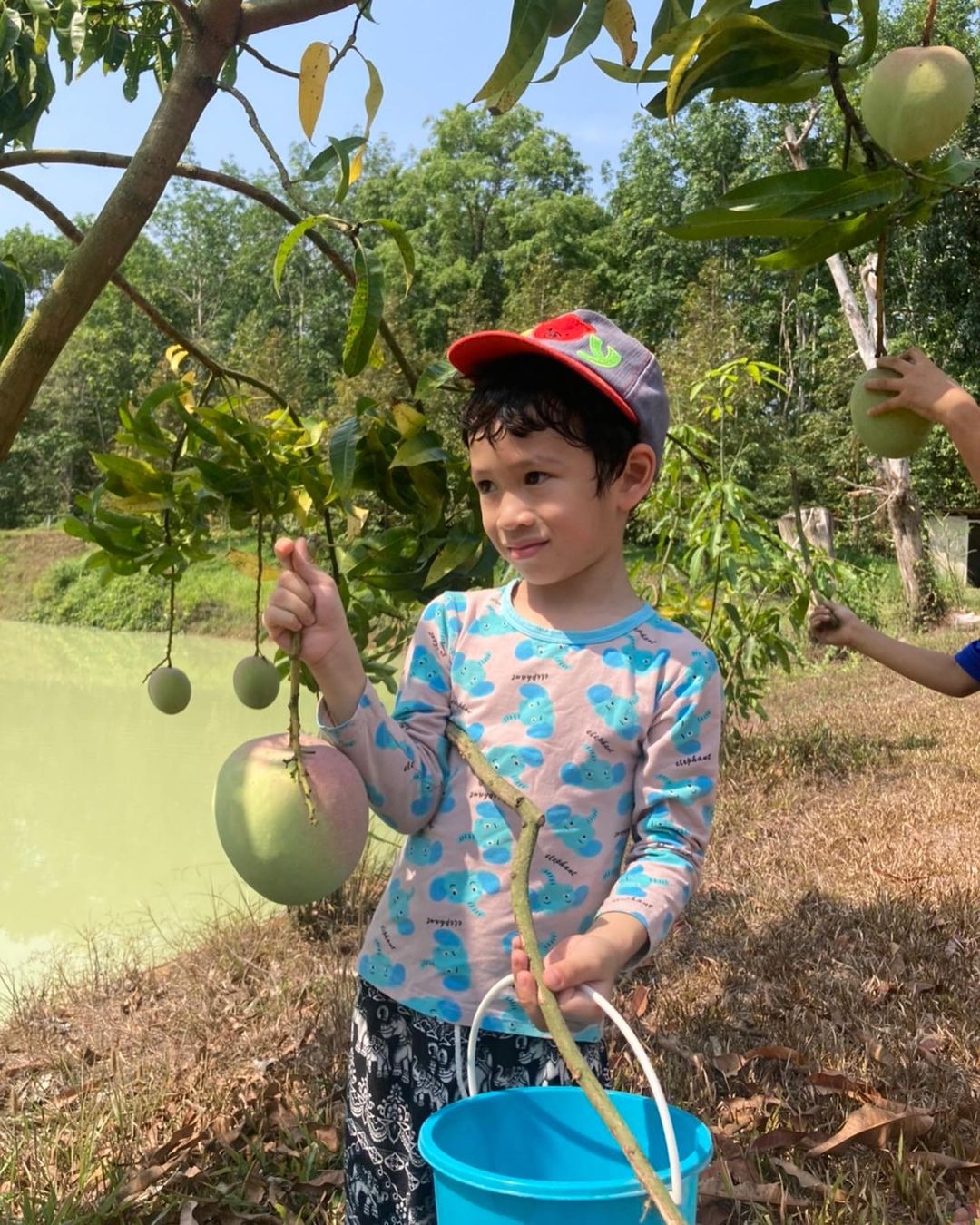 น้องโพธิ์ลูกชาคริต