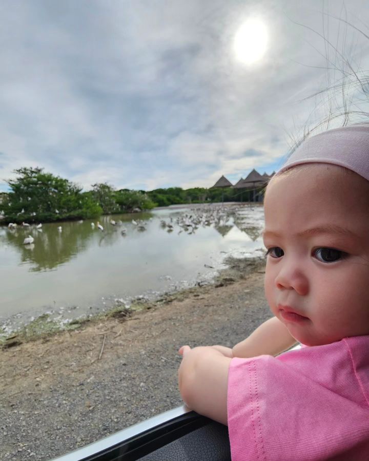 ชมพู่ อารยา