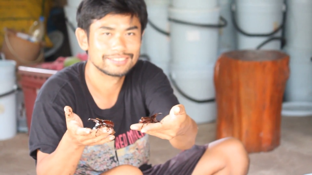 ด้วงกว่าง