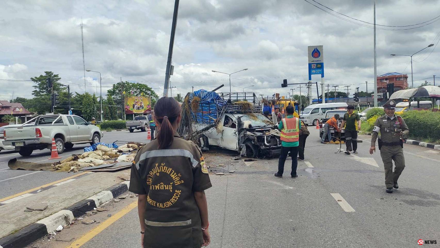กาฬสินธุ์ระทึกกระบะบรรทุกแพะเบรกแตกอัดเสาไฟจราจรตายเกือบยกคัน