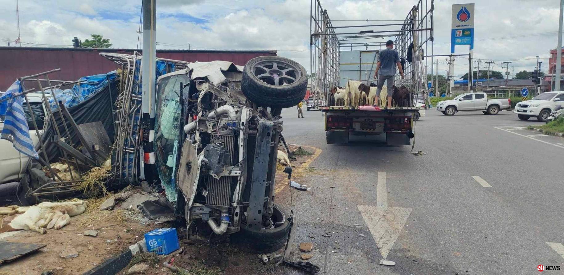 กาฬสินธุ์ระทึกกระบะบรรทุกแพะเบรกแตกอัดเสาไฟจราจรตายเกือบยกคัน