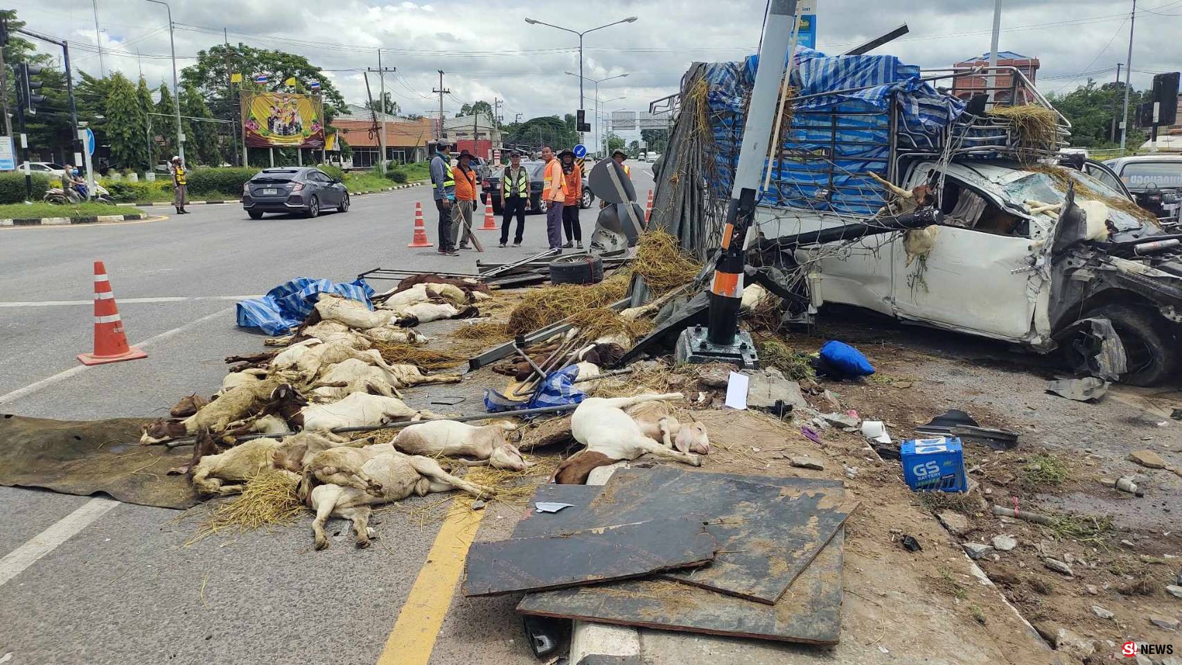 กาฬสินธุ์ระทึกกระบะบรรทุกแพะเบรกแตกอัดเสาไฟจราจรตายเกือบยกคัน