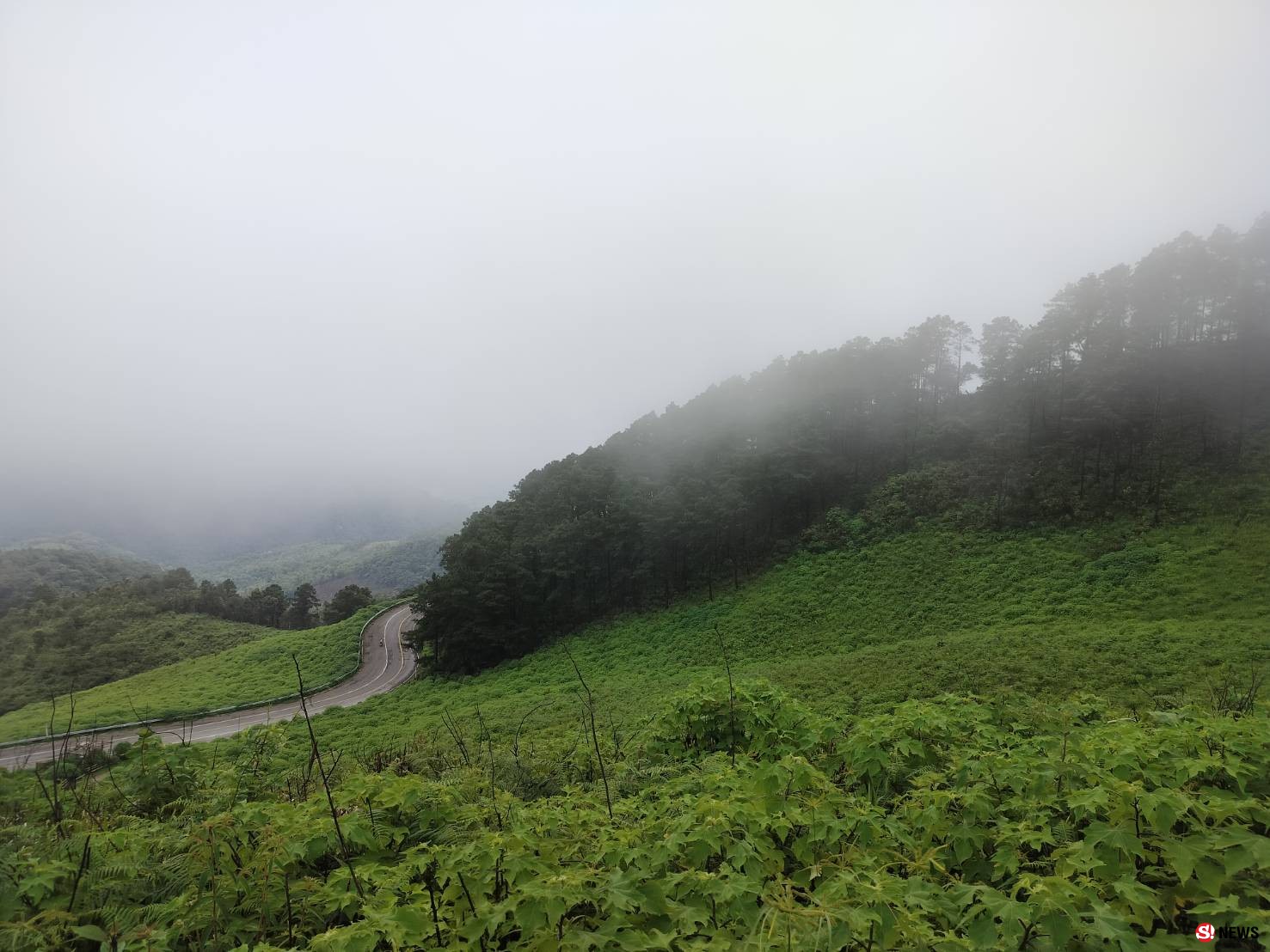 ชวนเที่ยวทุ่งบัวตองหน้าฝน