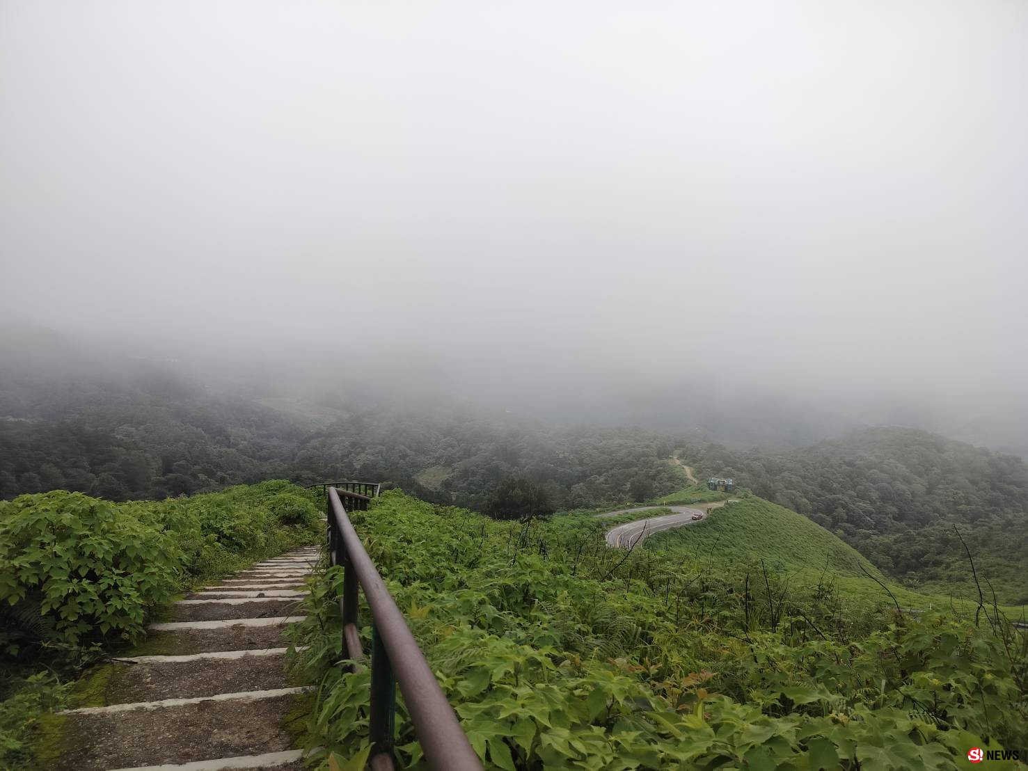 ชวนเที่ยวทุ่งบัวตองหน้าฝน