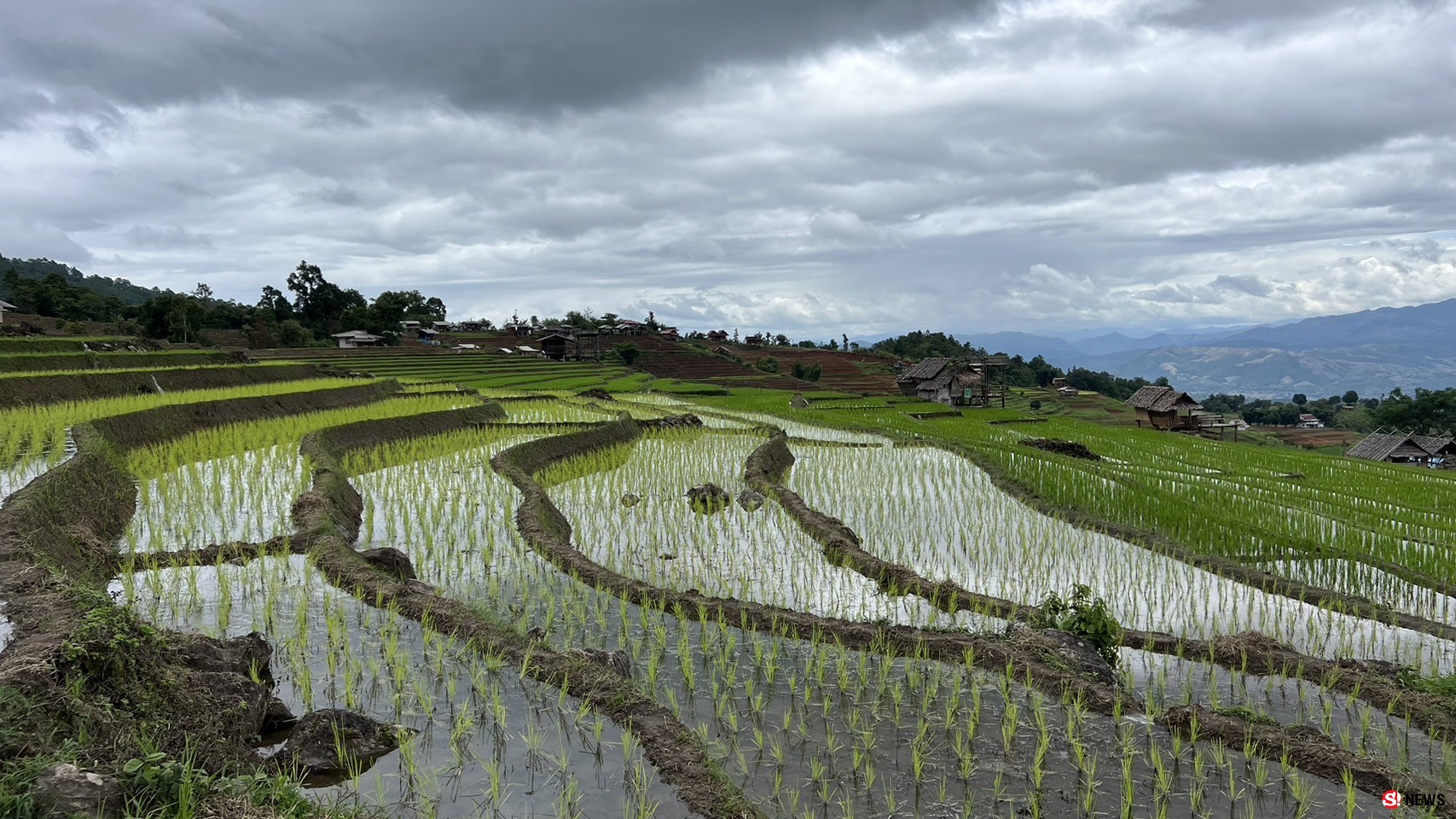 ชวนเที่ยวหยุดยาว นาขั้นบันไดบ้านป่าบงเปียงวิวสุดปังกลางหุบเขา