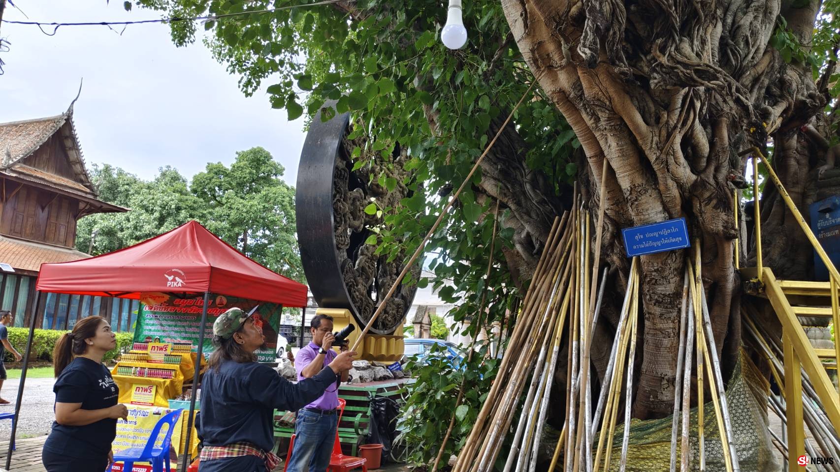 กรรณิการ์/พิษณุโลก/