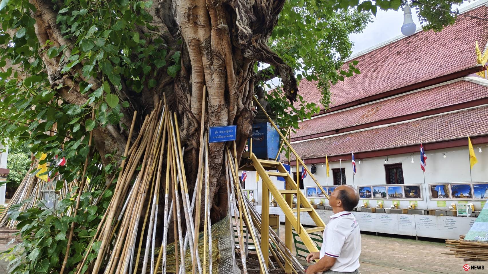 กรรณิการ์/พิษณุโลก/
