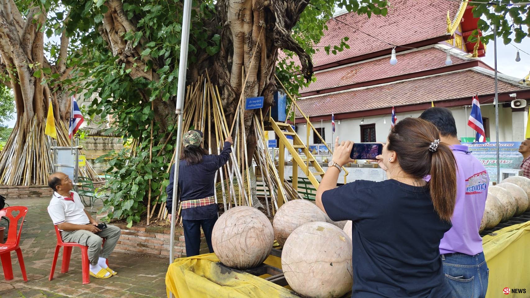 กรรณิการ์/พิษณุโลก/