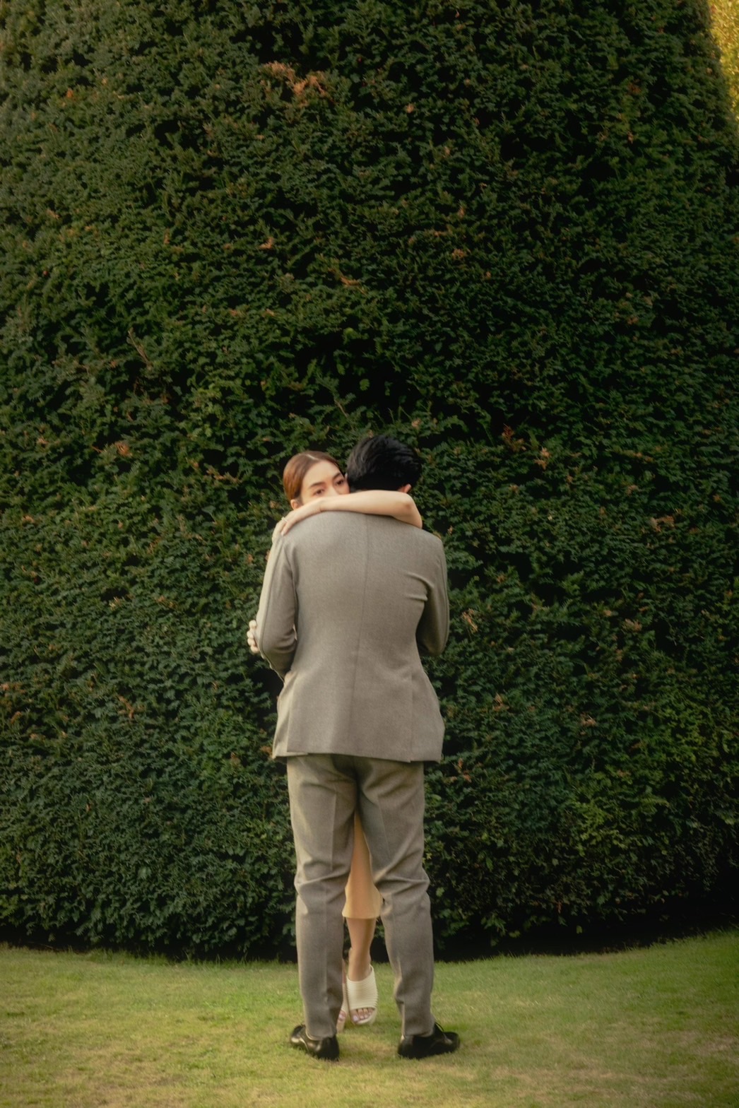 วุ้นเส้น ไฮโซนิกม์