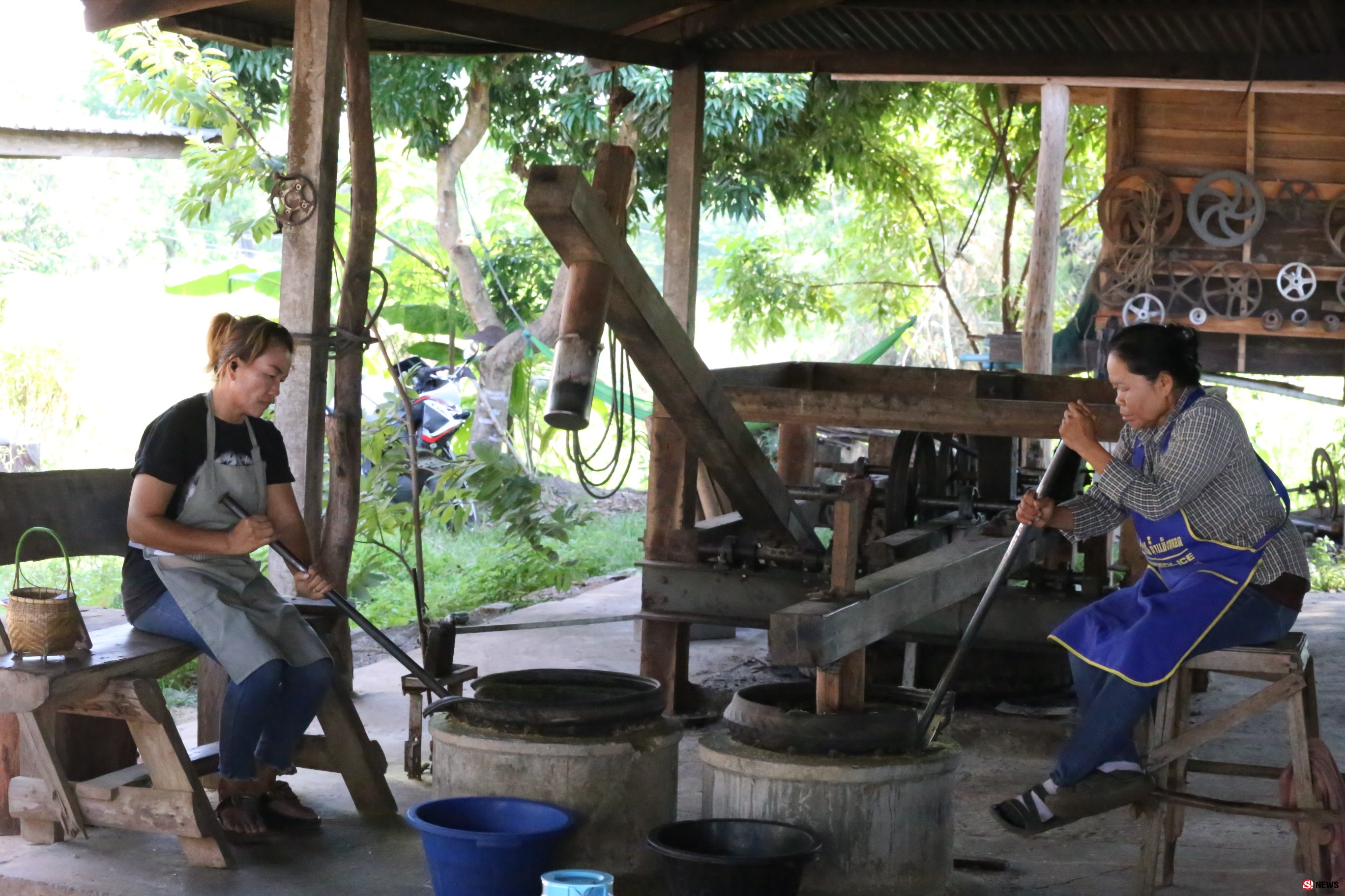 โกยเดือนละล้าน โอกาสทองคนทำข้าวเม่าภูมิปัญญาอีสาน