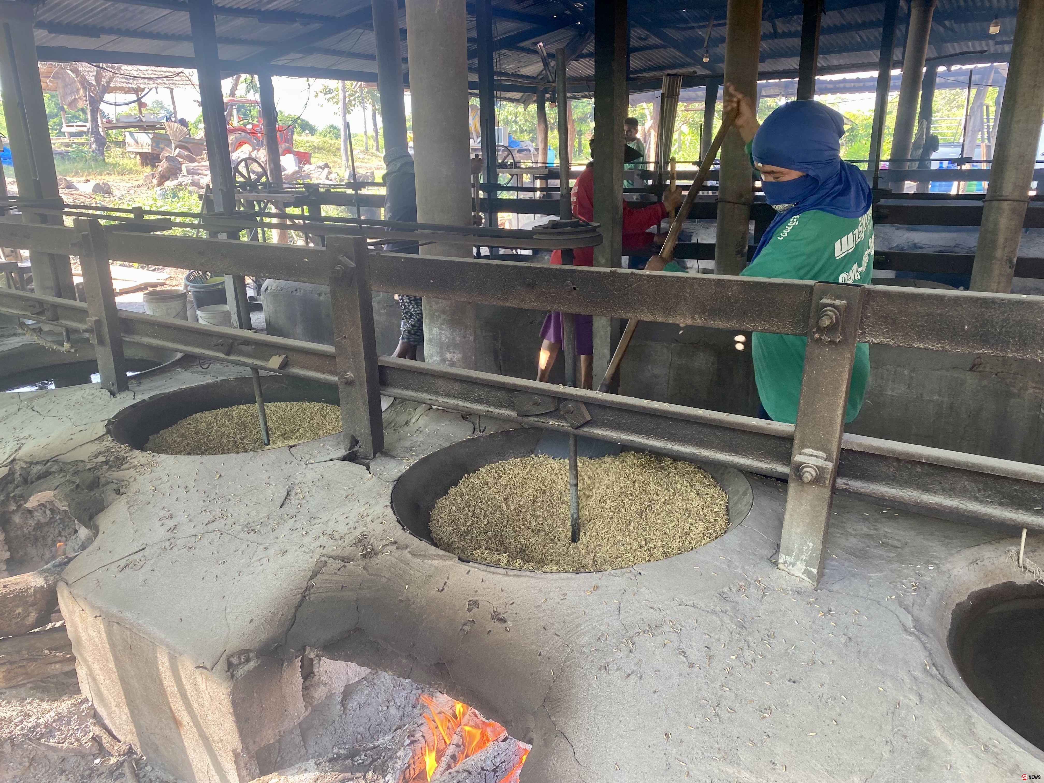 โกยเดือนละล้าน โอกาสทองคนทำข้าวเม่าภูมิปัญญาอีสาน