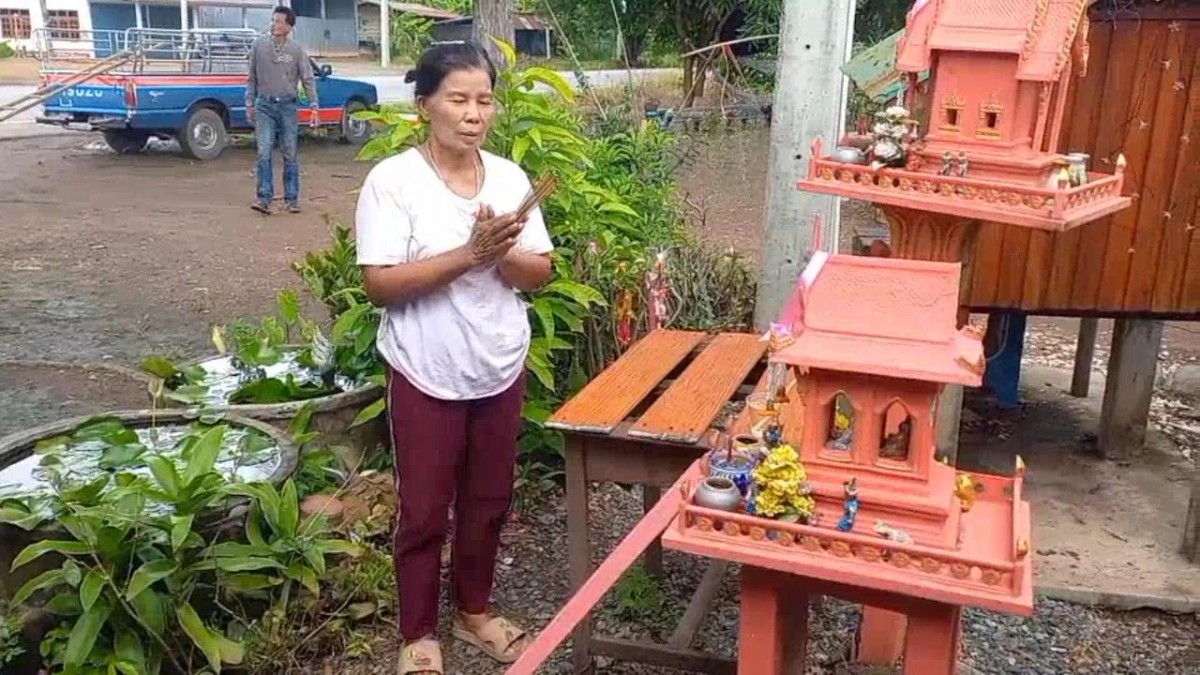 เพชรบูรณ์ ยายวัย 68 ปี ถูกต่อหัวเสือกว่า 10 ตัวรุมต่อย จุดธูปขอขมาเพื่อทำลายรังต่อ