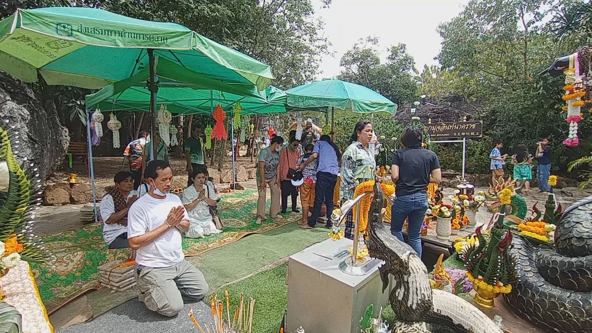 ครูสาวหลับตาล้วงไข่-จุดธูปขอเลขเด็ดปู่มุจลินท์-เจ้าแม่ตะเคียนวัดภูตะเภาทองวันออกพรรษา