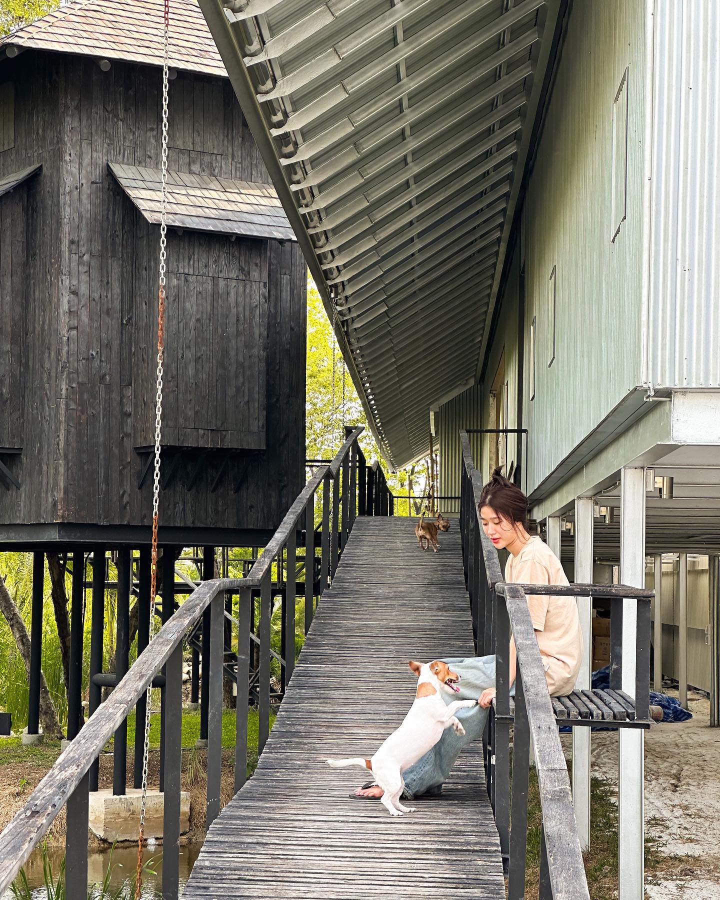 บ้านโทนี่ รากแก่น