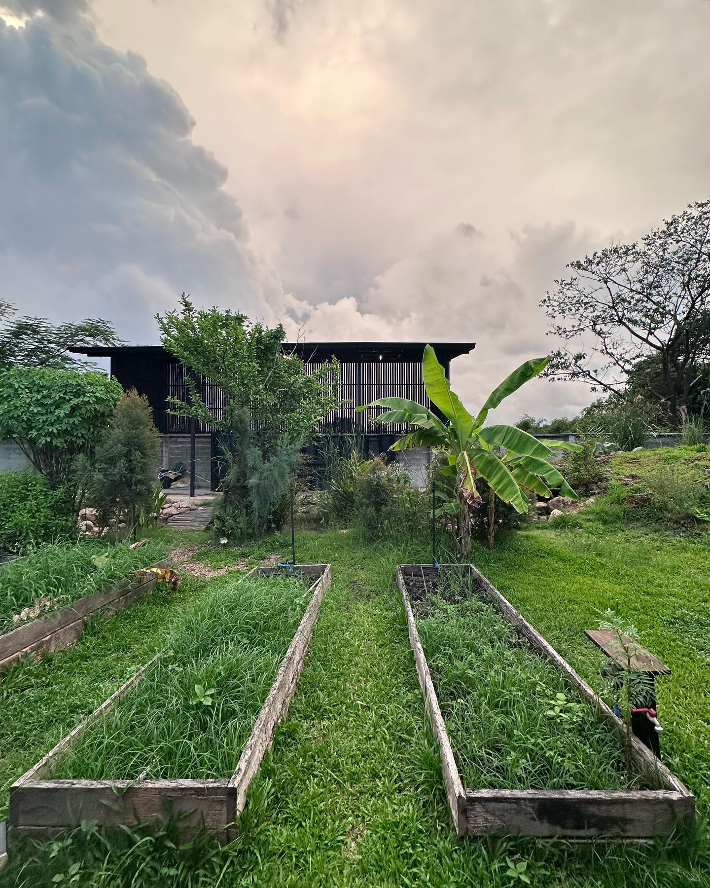 บ้านโทนี่ รากแก่น