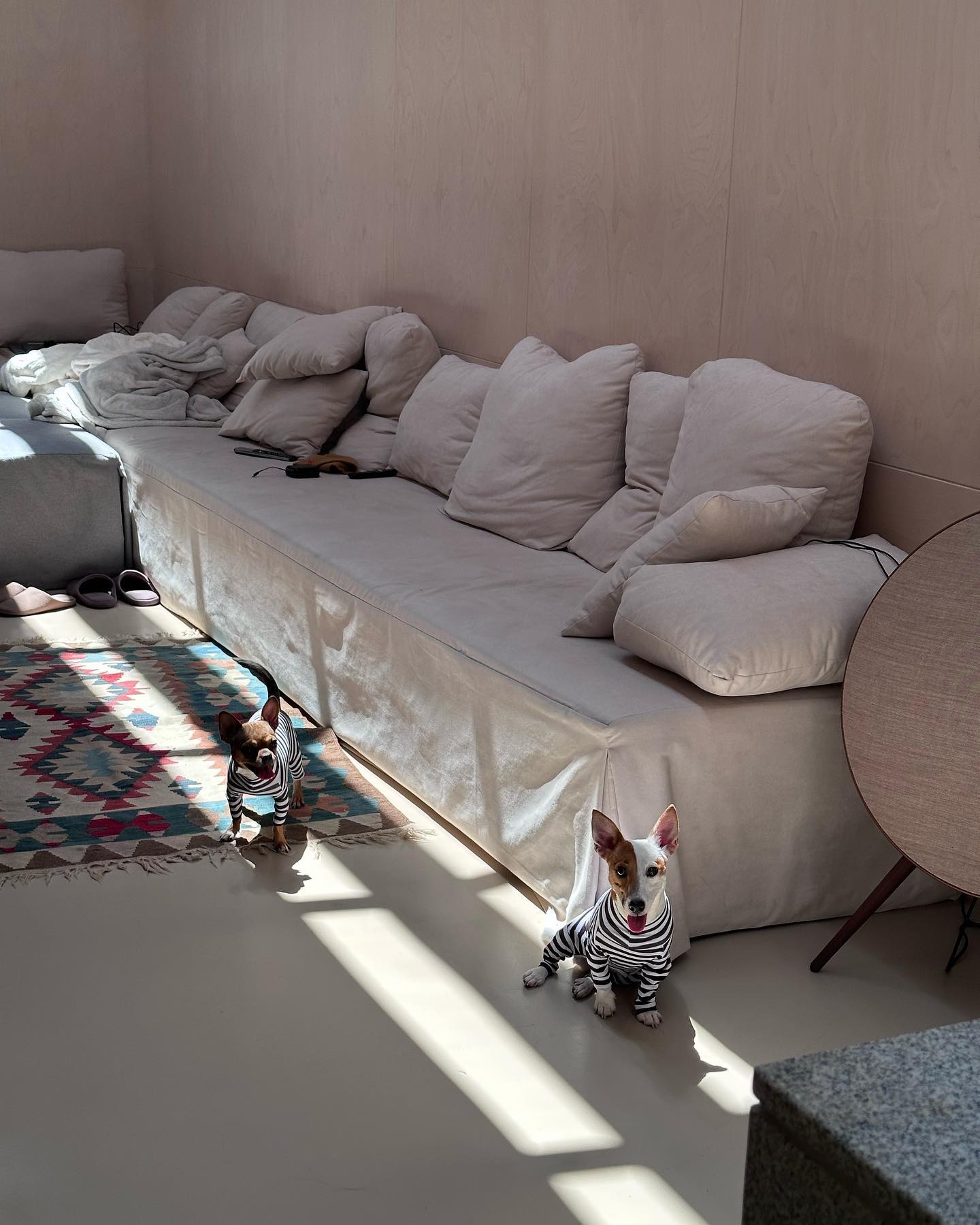 บ้านโทนี่ รากแก่น