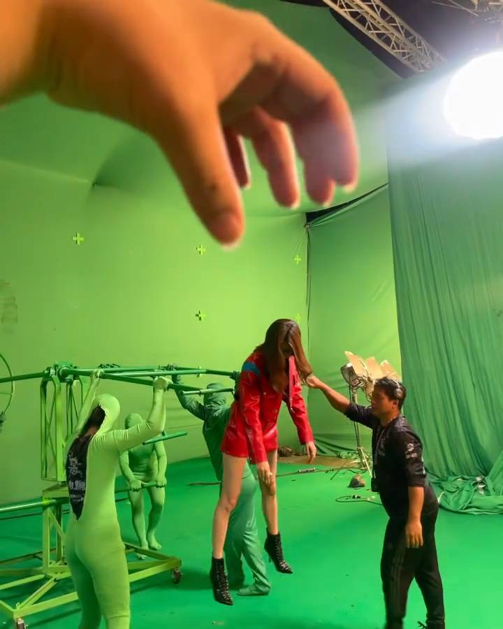 ใบเฟิร์น พิมพ์ชนก