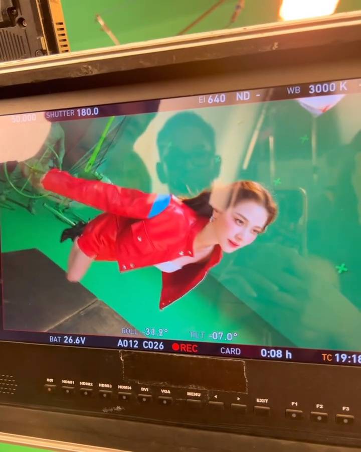 ใบเฟิร์น พิมพ์ชนก