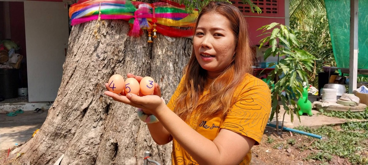 - สุรินทร์-สาวใหญ่เมืองช้าง..แอบย่องเงียบจุดธูปภาวนาขอเลขเด็ดจากต้นมะขามยักย์ อายุ 200 ปี หลังจากที่ถูกมาแล้วหลายงวด แต่ก็อุบไว้เกรงเจ้ามืออั้น