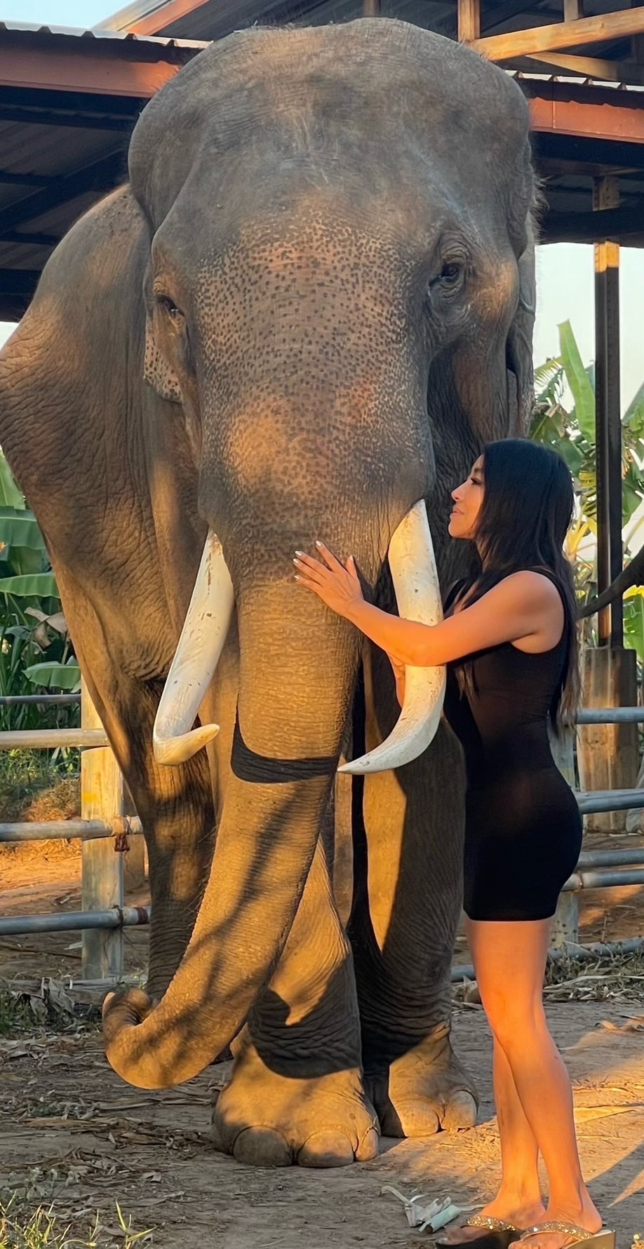 ปลา บลา บลา เพียงฤทัย โกมารทัต