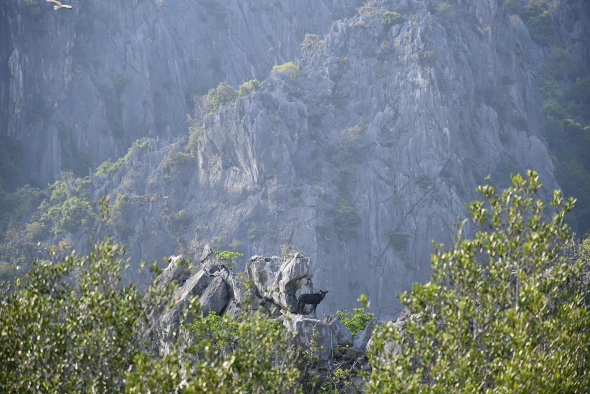 ประจวบคีรีขันธ์ อช.เขาสามร้อยยอด โพสต์ภาพ 