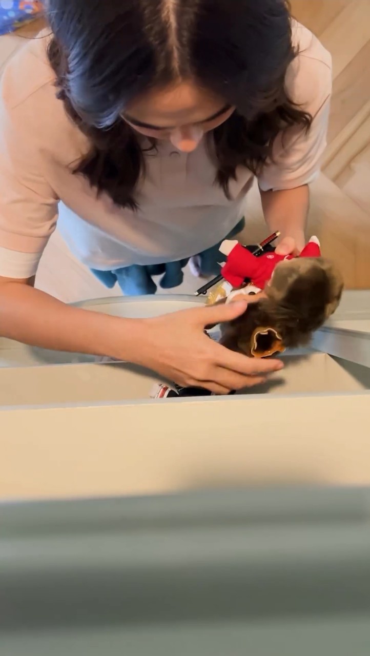 ชมพู่ อารยา