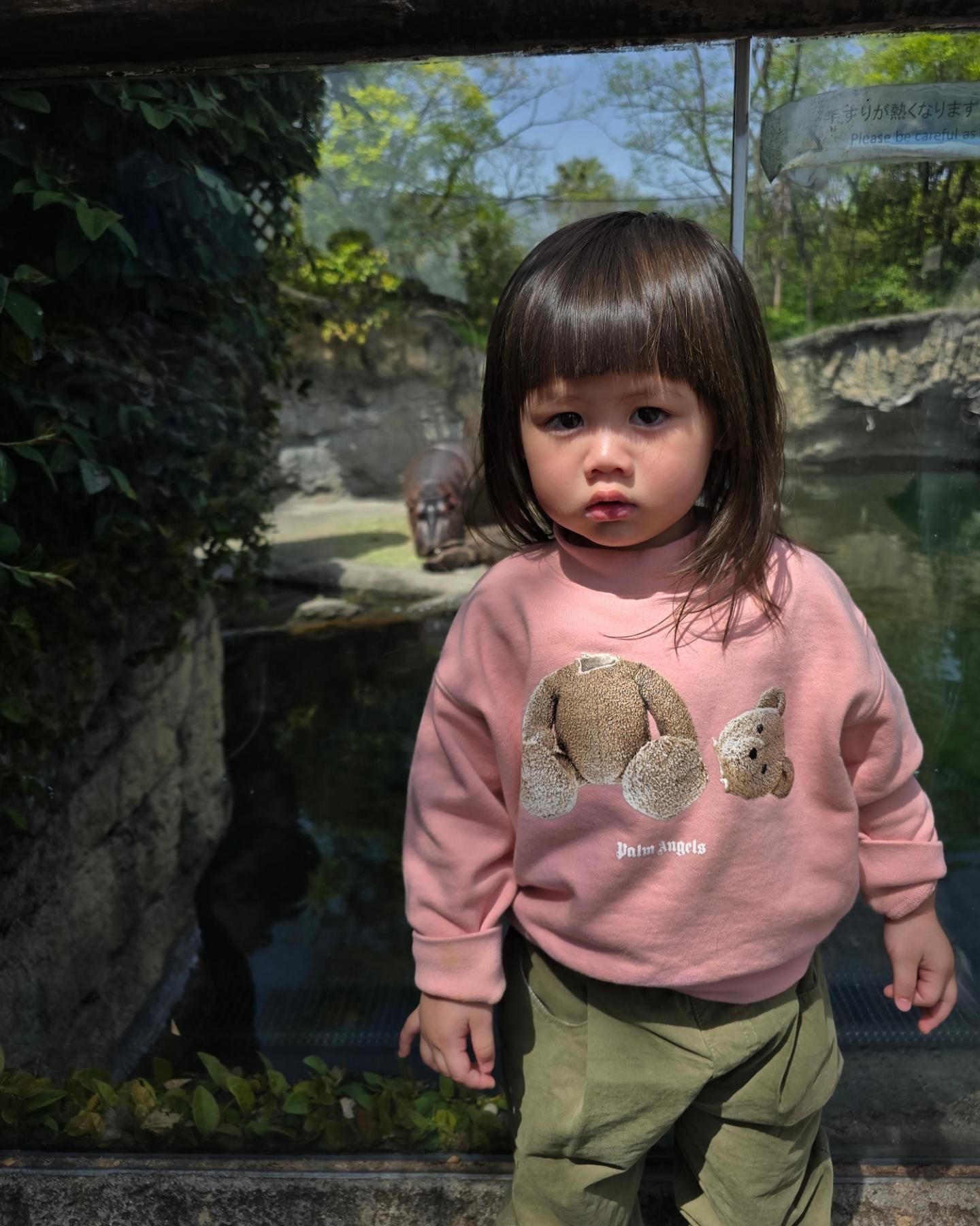 ชมพู่ อารยา