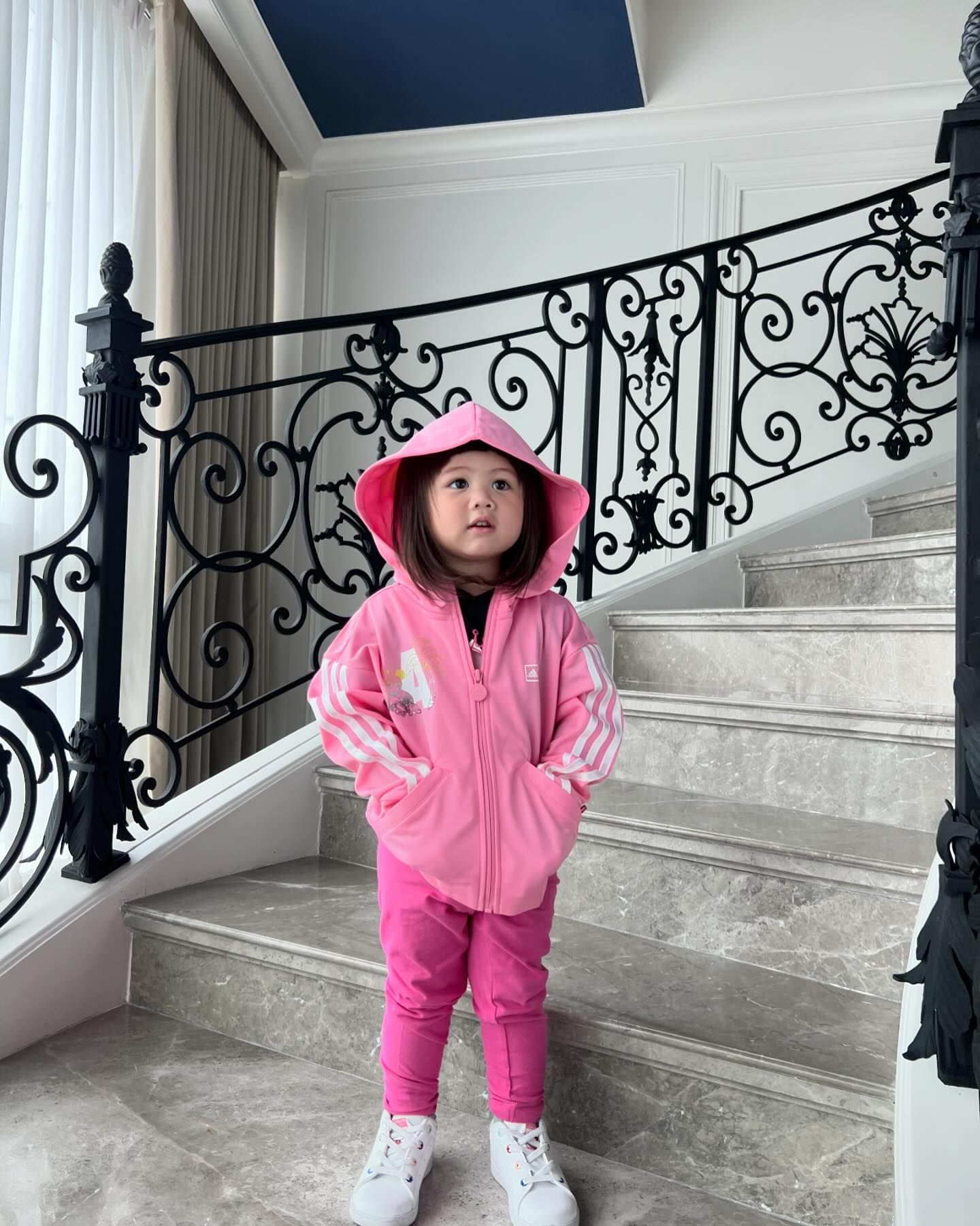 ชมพู่ อารยา