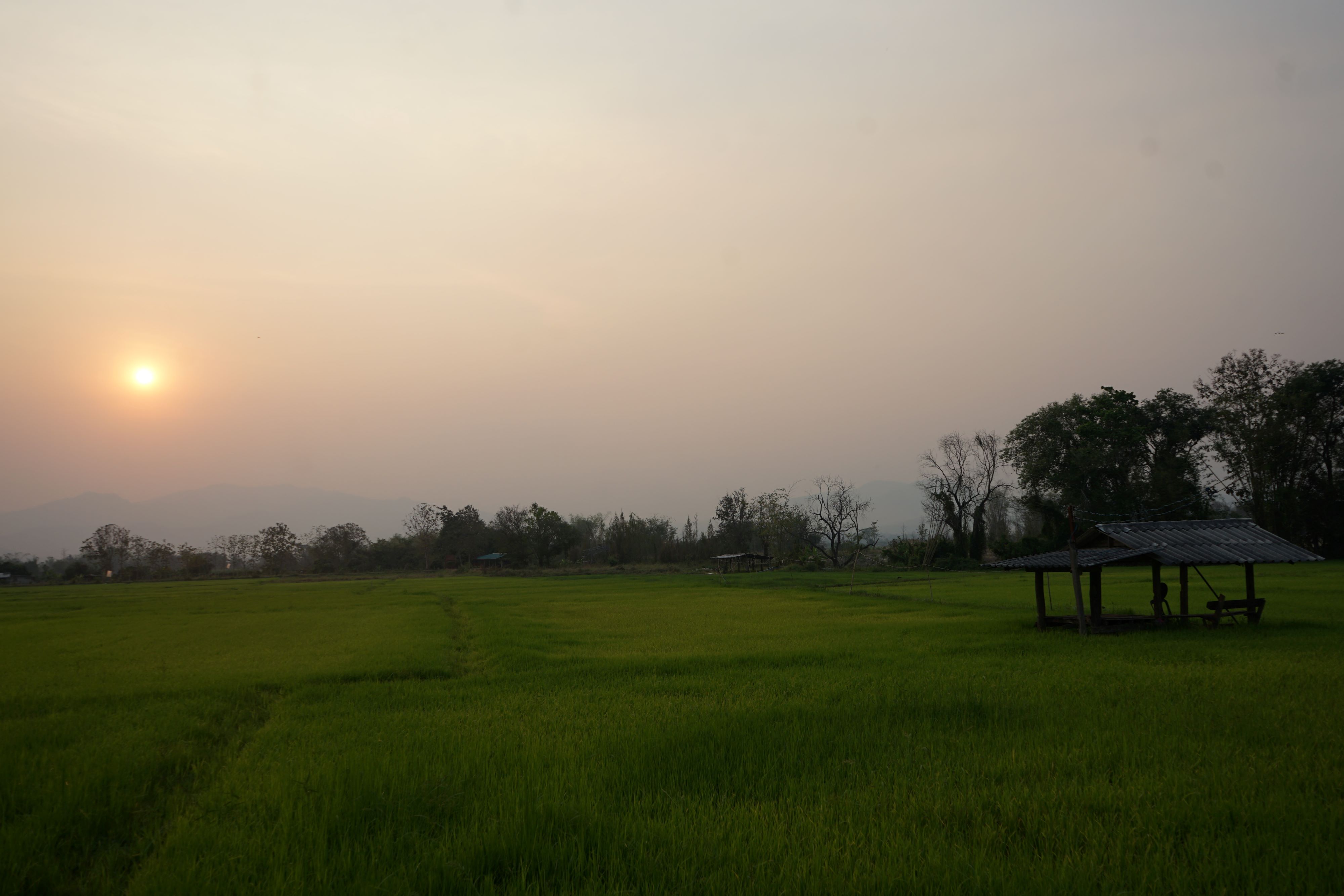 “สิริเมืองพร้าว” จากรากเหง้า สู่ธุรกิจเพื่อสังคม มุ่งสร้างอาชีพให้คนในชุมชน