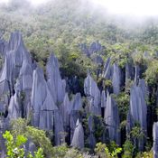 No.9 Gunung Mulu National Park Borneo