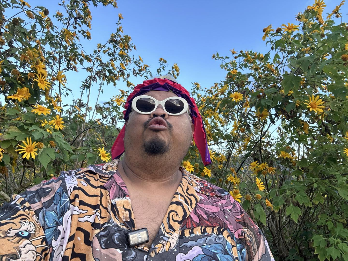 ป๊อบ ปองกูล