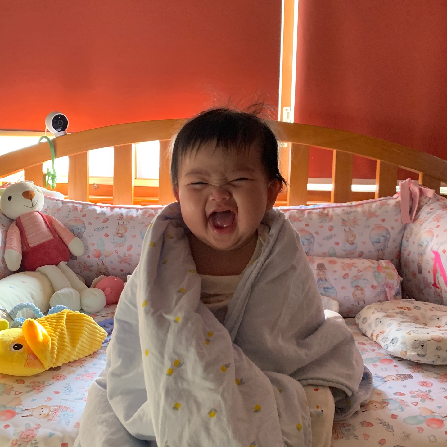 เมรี คัมภีร์