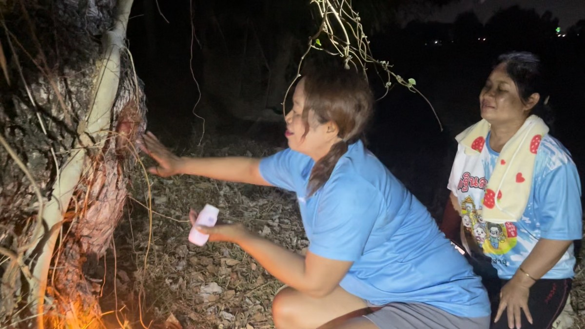 -สุรินทร์-ขอเลขเด็ดต้นสะเดาขนาด 4 คนโอบอายุร้อยกว่าปี บ้านร้างข้างทุ่งนาท้ายหมู่บ้านที่เจ้าของเสียชีวิตไปเมื่อ 20 กว่าปี