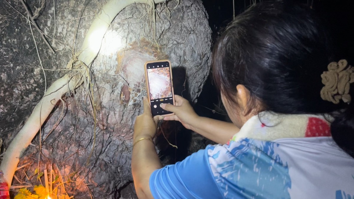 -สุรินทร์-ขอเลขเด็ดต้นสะเดาขนาด 4 คนโอบอายุร้อยกว่าปี บ้านร้างข้างทุ่งนาท้ายหมู่บ้านที่เจ้าของเสียชีวิตไปเมื่อ 20 กว่าปี