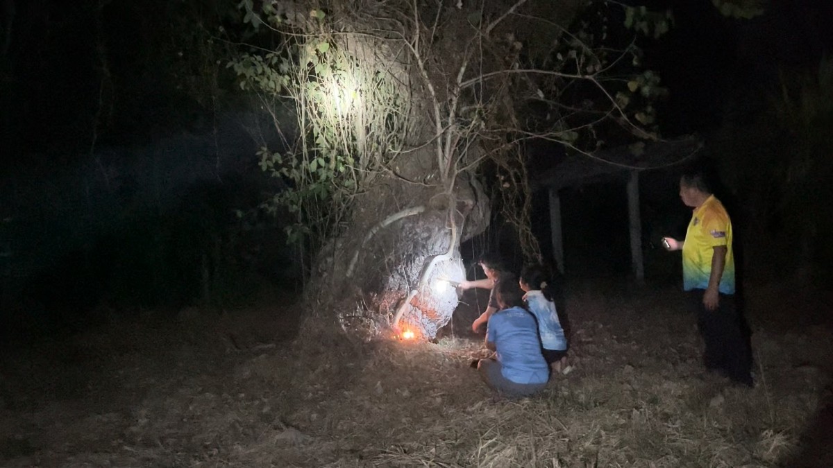 -สุรินทร์-ขอเลขเด็ดต้นสะเดาขนาด 4 คนโอบอายุร้อยกว่าปี บ้านร้างข้างทุ่งนาท้ายหมู่บ้านที่เจ้าของเสียชีวิตไปเมื่อ 20 กว่าปี