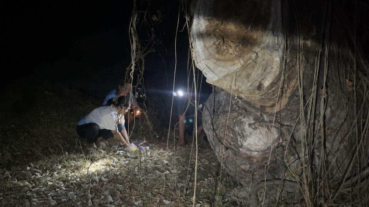 -สุรินทร์-ขอเลขเด็ดต้นสะเดาขนาด 4 คนโอบอายุร้อยกว่าปี บ้านร้างข้างทุ่งนาท้ายหมู่บ้านที่เจ้าของเสียชีวิตไปเมื่อ 20 กว่าปี