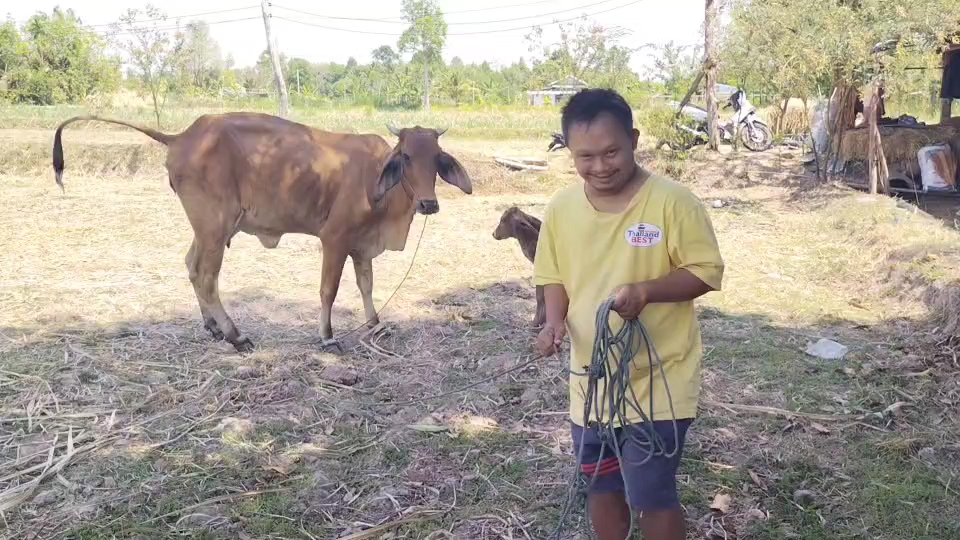 ---สุรินทร์-เปิดชีวิตจริง..พี่ชายพิการ ส่งน้องเรียนจบ ผช.พยาบาล ยอมเจียดเงินเดือนคนพิการให้น้องเดือนละ 500 บาท แถมอารมณ์ดีและขยัน ช่วยงานบ้านและรับจ้างทุกอย่างที่ได้เงิน ครอบครัวสุดภูมิใจ