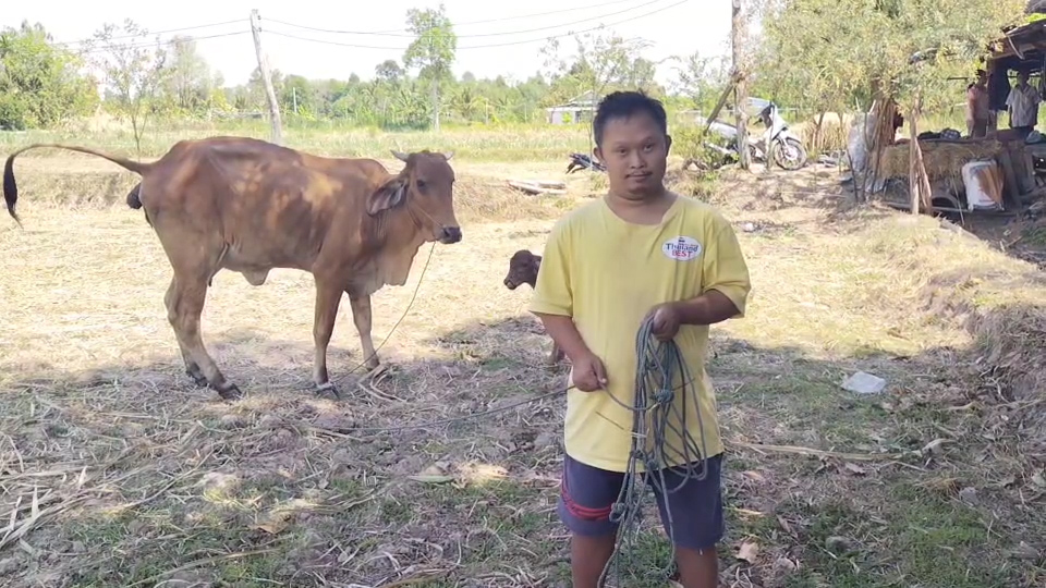 ---สุรินทร์-เปิดชีวิตจริง..พี่ชายพิการ ส่งน้องเรียนจบ ผช.พยาบาล ยอมเจียดเงินเดือนคนพิการให้น้องเดือนละ 500 บาท แถมอารมณ์ดีและขยัน ช่วยงานบ้านและรับจ้างทุกอย่างที่ได้เงิน ครอบครัวสุดภูมิใจ