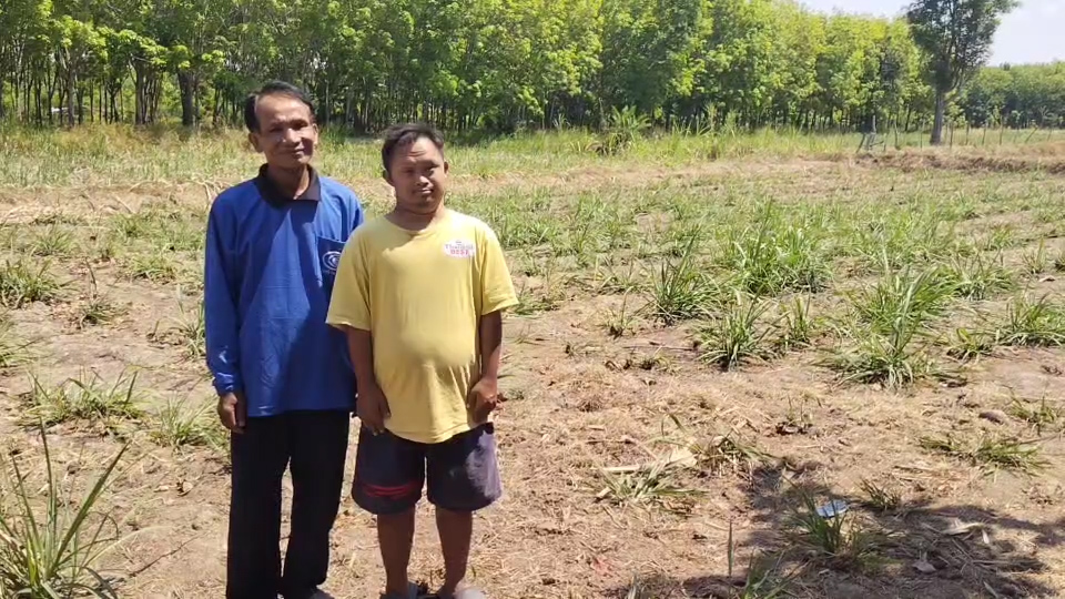 ---สุรินทร์-เปิดชีวิตจริง..พี่ชายพิการ ส่งน้องเรียนจบ ผช.พยาบาล ยอมเจียดเงินเดือนคนพิการให้น้องเดือนละ 500 บาท แถมอารมณ์ดีและขยัน ช่วยงานบ้านและรับจ้างทุกอย่างที่ได้เงิน ครอบครัวสุดภูมิใจ