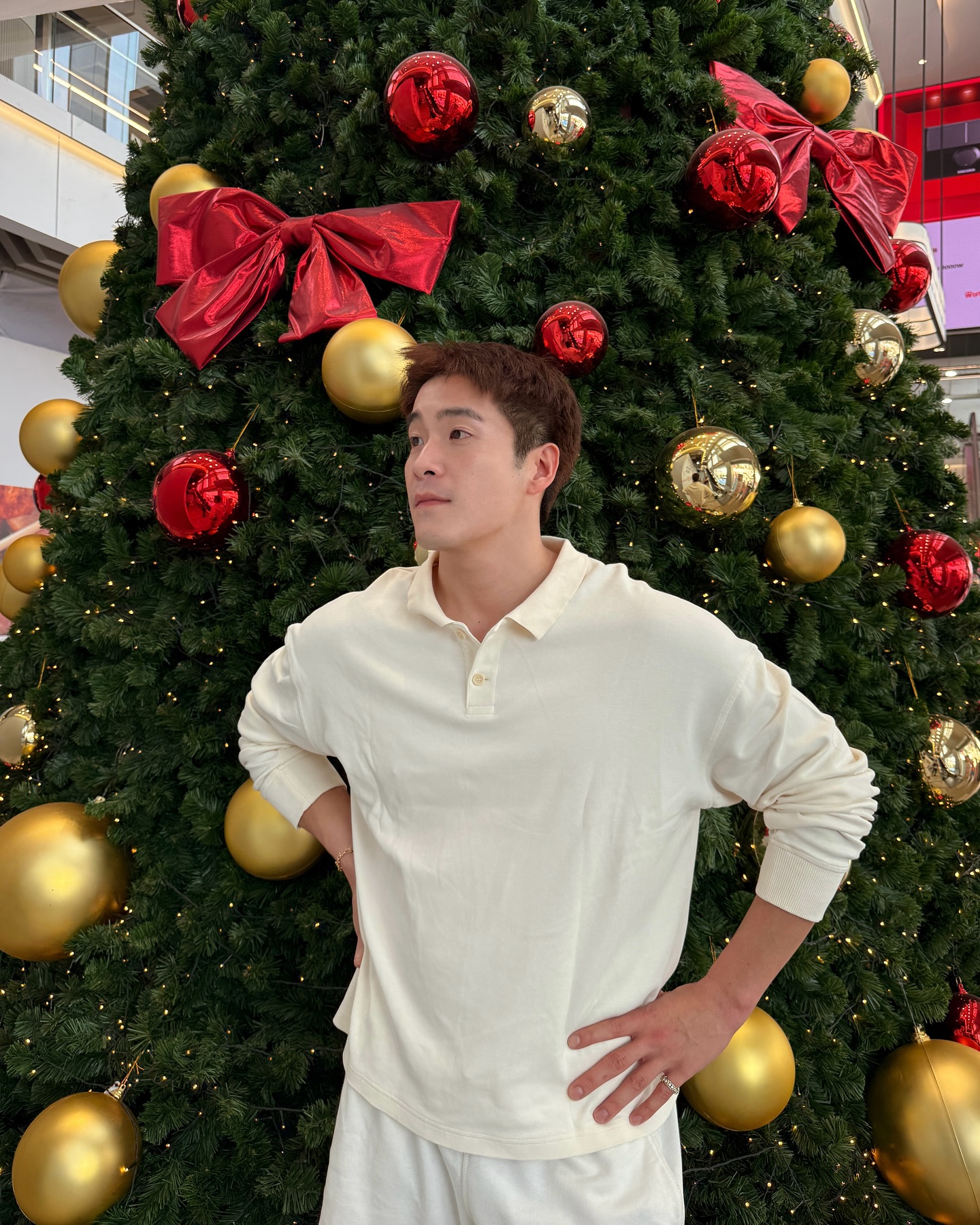 อาเล็ก ธีรเดช