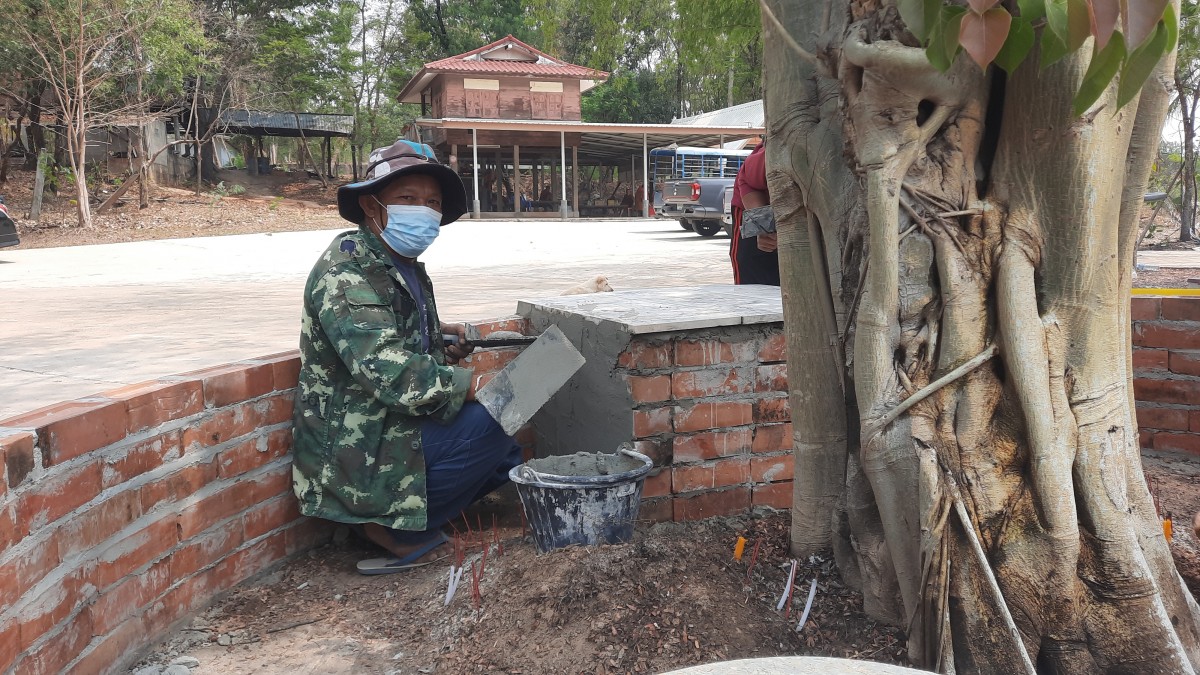 อุดรธานี ชาวบ้านตื่นเต้น แห่ชมต้นโพธิ์มีสีทองทั้งต้น เชื่อกันว่าใครได้เห็นจะมีโชคลาภวาสนา