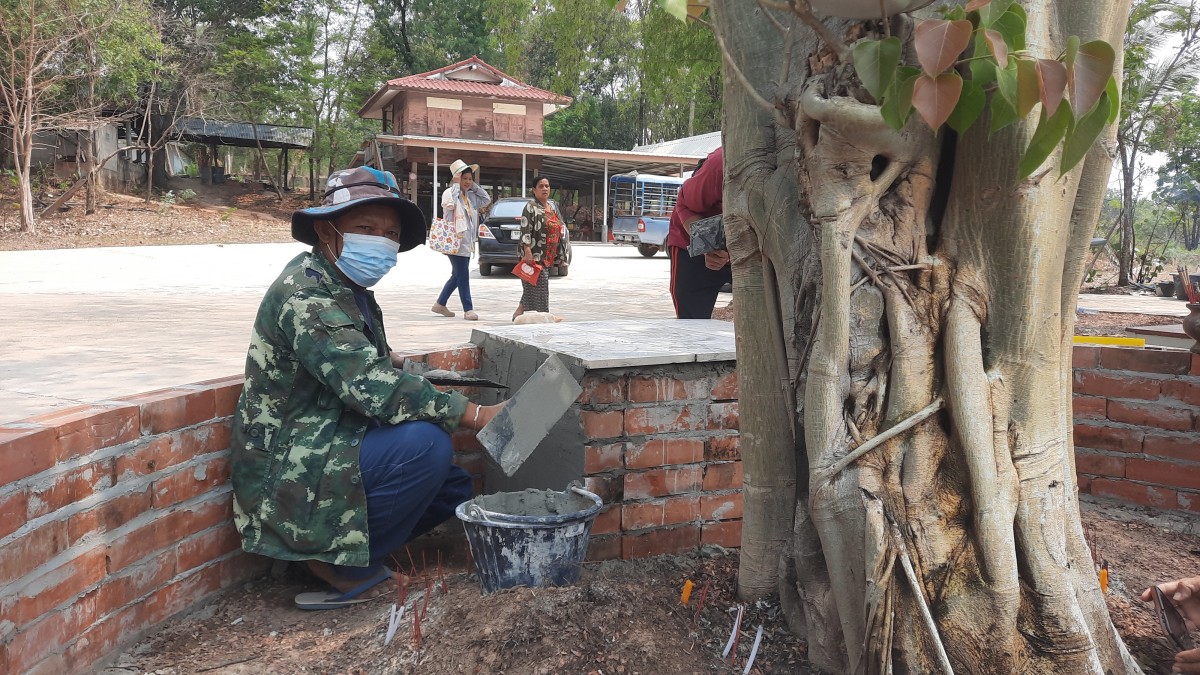 อุดรธานี ชาวบ้านตื่นเต้น แห่ชมต้นโพธิ์มีสีทองทั้งต้น เชื่อกันว่าใครได้เห็นจะมีโชคลาภวาสนา