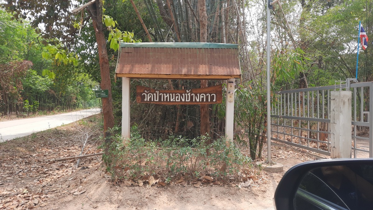 อุดรธานี ชาวบ้านตื่นเต้น แห่ชมต้นโพธิ์มีสีทองทั้งต้น เชื่อกันว่าใครได้เห็นจะมีโชคลาภวาสนา